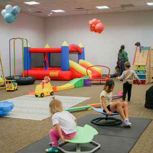 Wild Child Indoor Playground