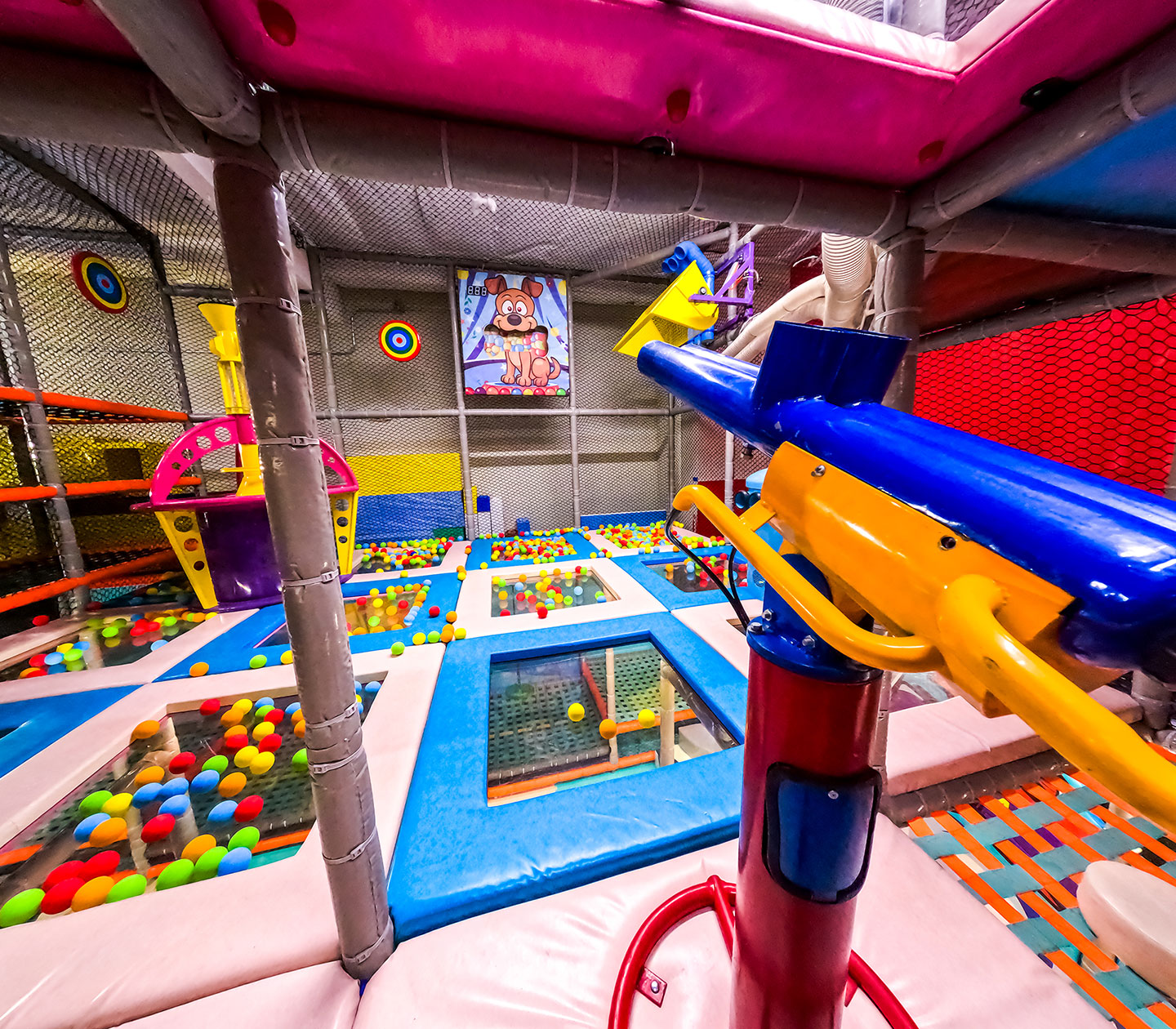 Ball play area with launch feature inside Zebra World.