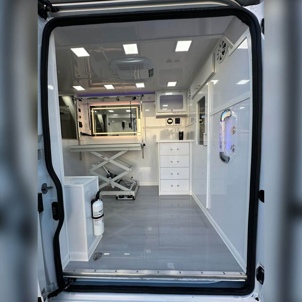 Groomed dog photographed for 210 Pet Grooming