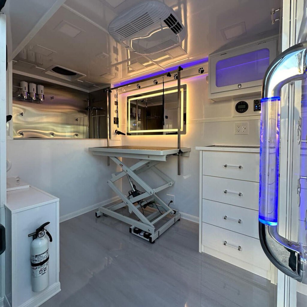 Dog portrait from 210 Pet Grooming website gallery