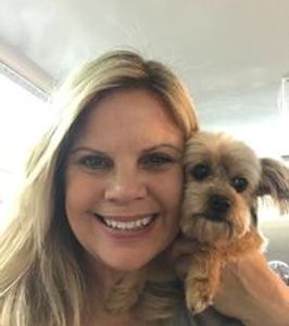 Dog grooming related image on the 4 Paws Only website