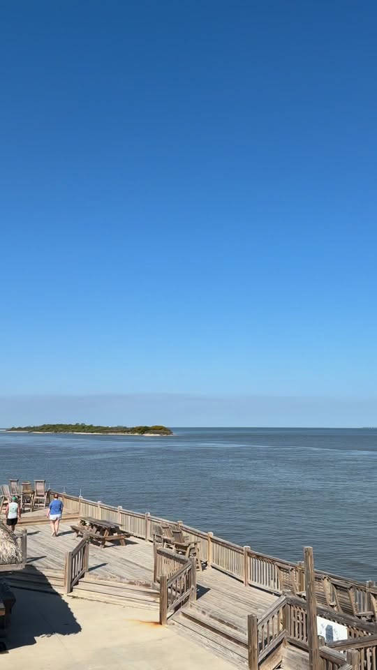 Recent post image from 5 Dogs Mobile Grooming