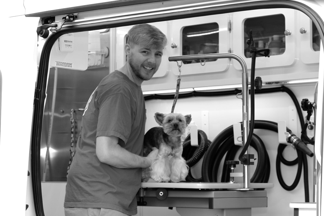 Dog grooming photo from A Groomer On the Go services page