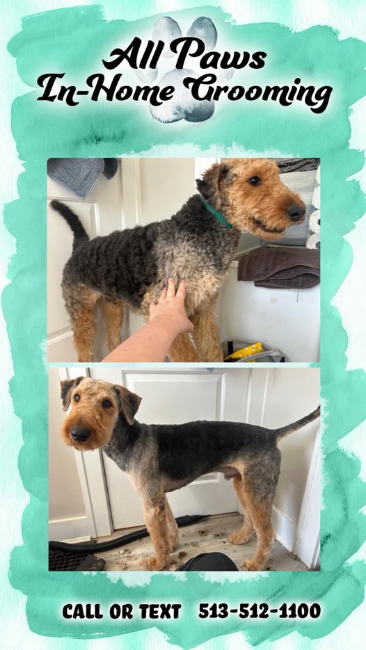 All Paws In-Home Mobile Grooming Cincinnati