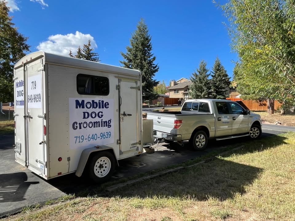 Allison's Mobile Dog Grooming