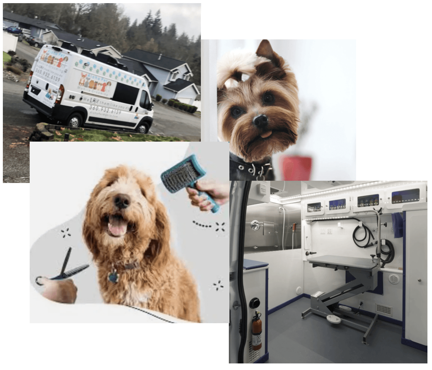 Aloha Pet Mobile Grooming van exterior in Kitsap