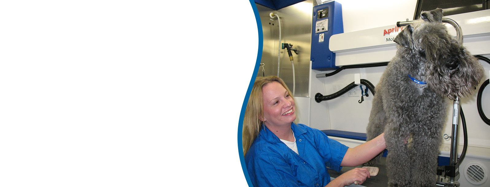 April's Shower Mobile Grooming homepage banner