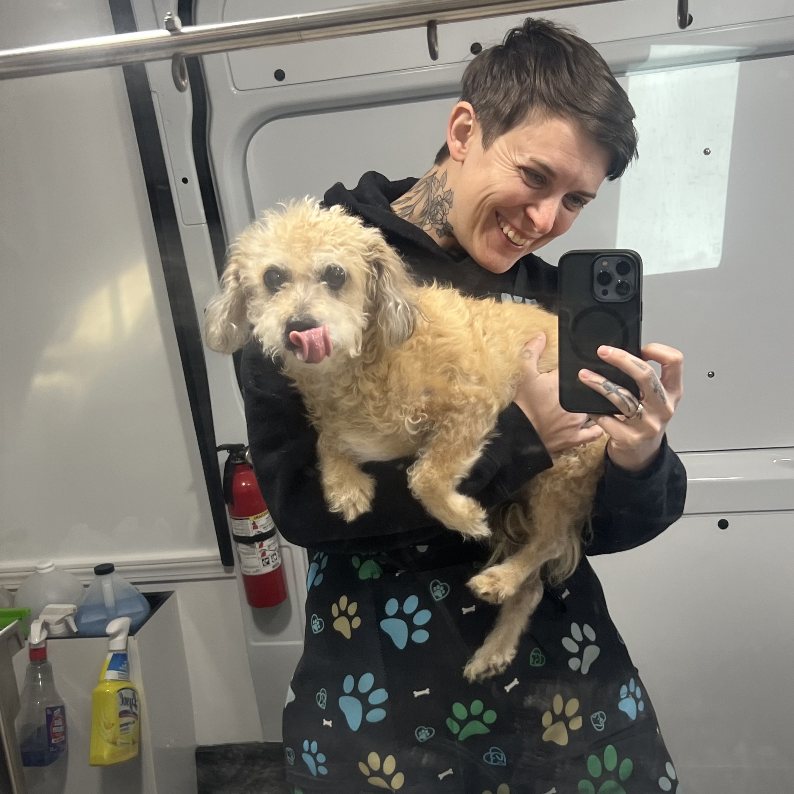 Groomed dog portrait from Asheville Mobile Grooming