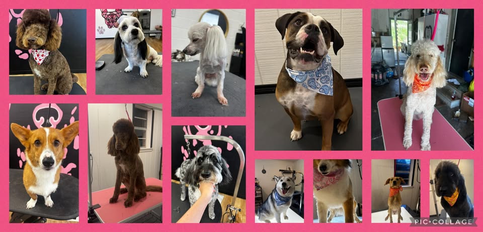 Ashlynn’s Wiggle Washes