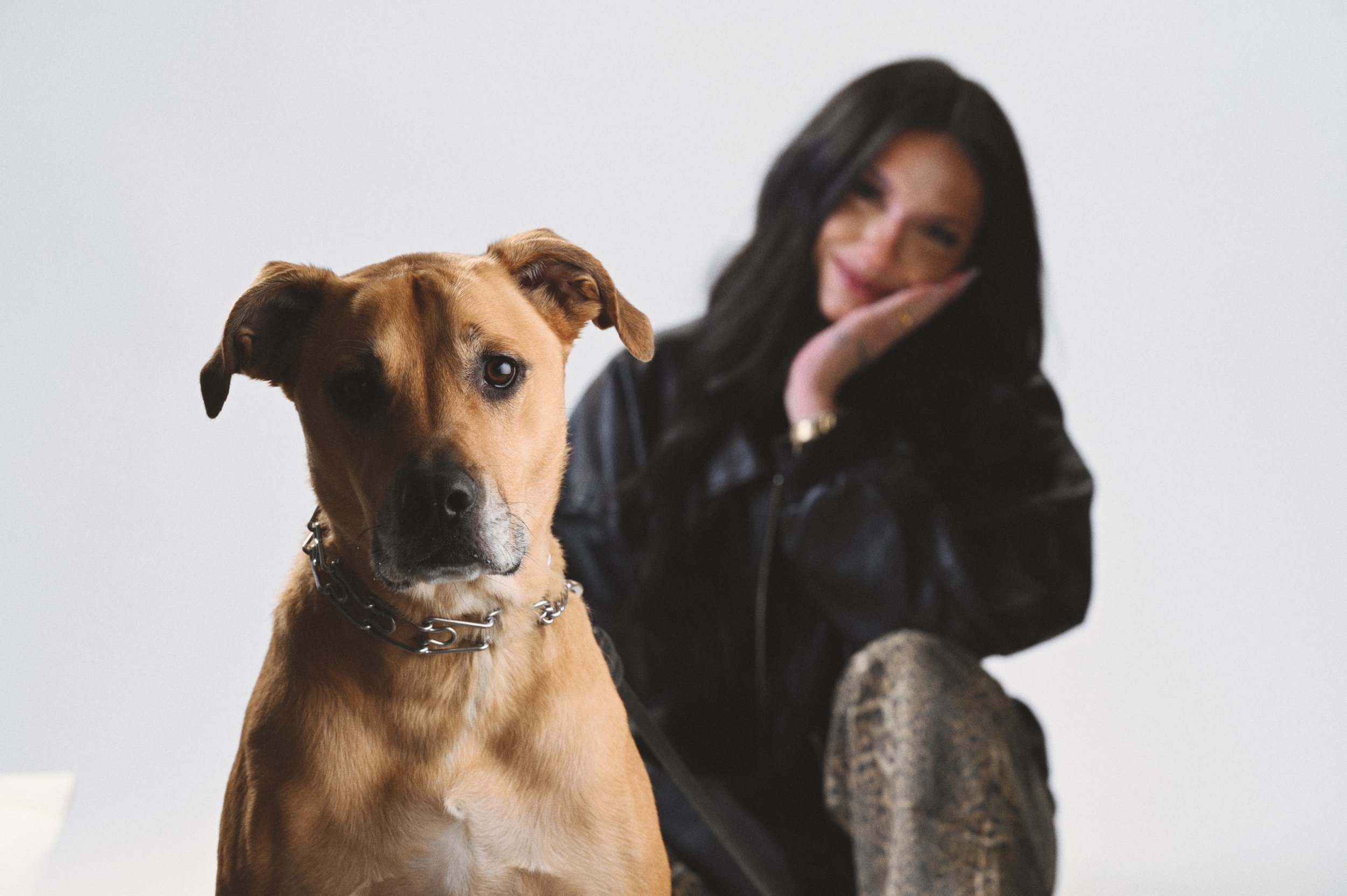 Baci & Buca Luxury Mobile Pet Spa