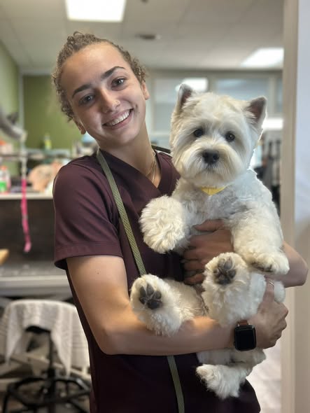 Pet grooming team image from Bad To The Bone Pet Grooming