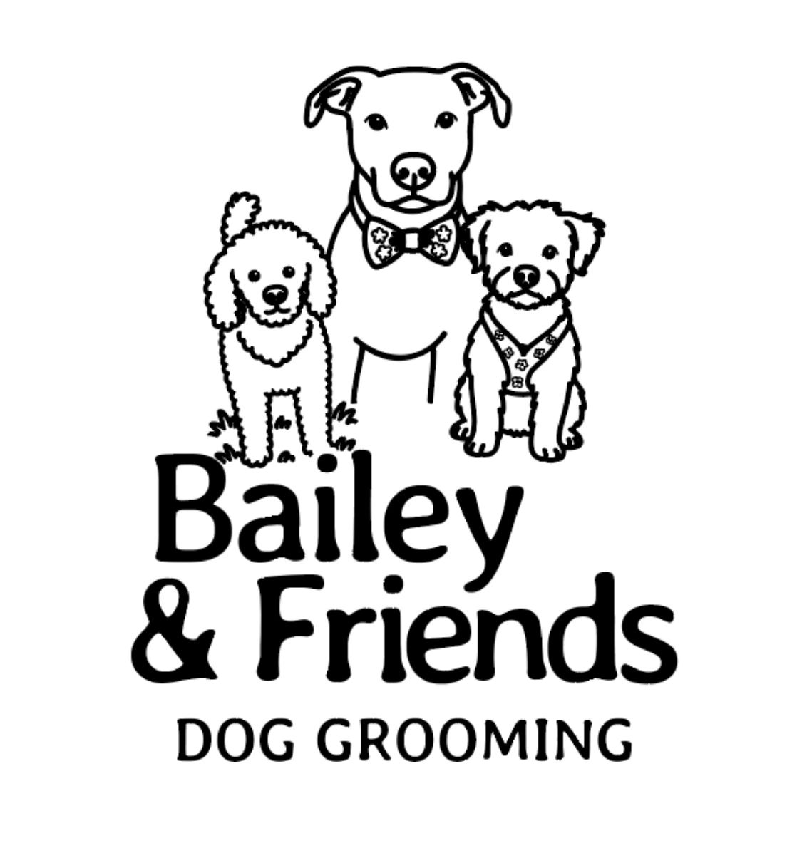 Bailey & Friends featured grooming image