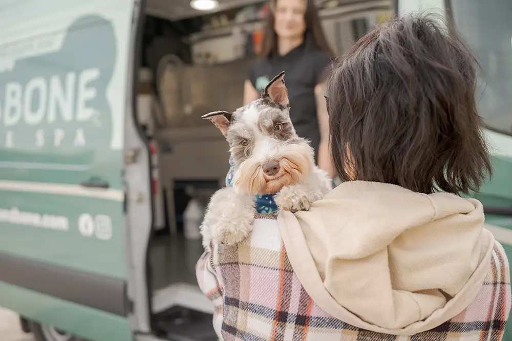 Happy dog after Bark and Bone mobile grooming service