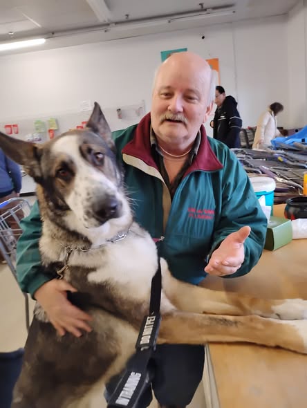 Bark and Park, Mobile Pet Grooming Salon