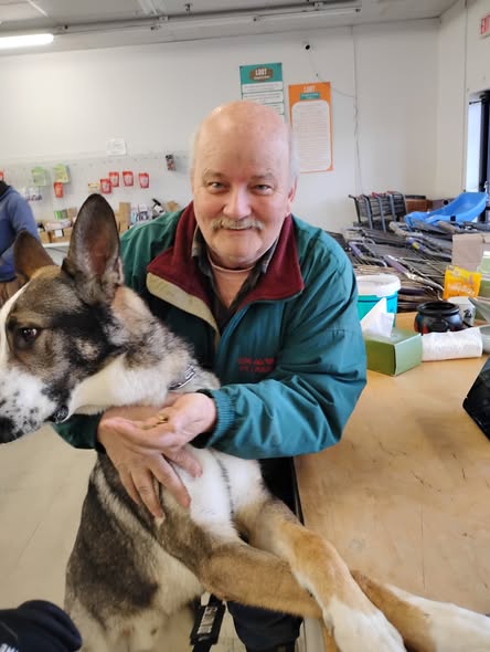 Additional groomed pet photo from Bark and Park.
