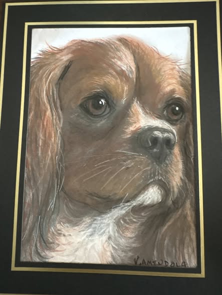 Pet portrait and recent post image from BarkBark Boutique Mobile Grooming