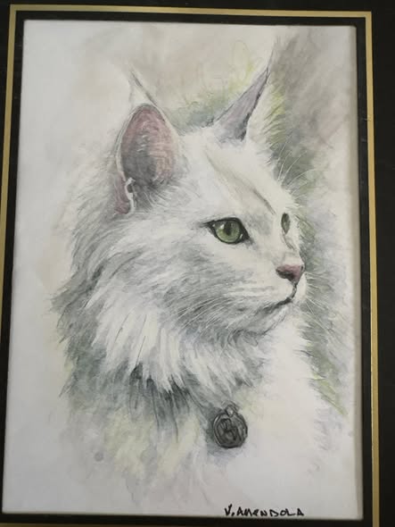 Pet image from BarkBark Boutique Mobile Grooming Facebook gallery