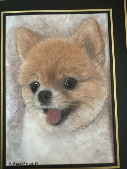 Additional BarkBark Boutique Mobile Grooming Facebook gallery image