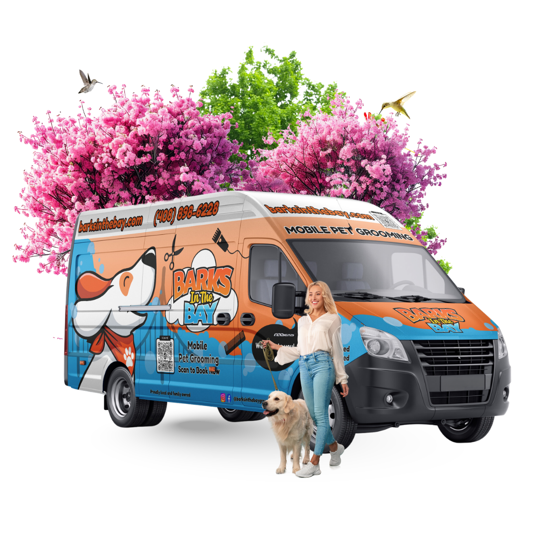 Barks in the Bay Mobile Dog Grooming