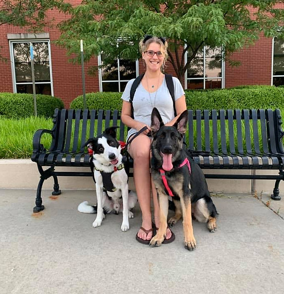 Barks2Bows Mobile Pet Grooming