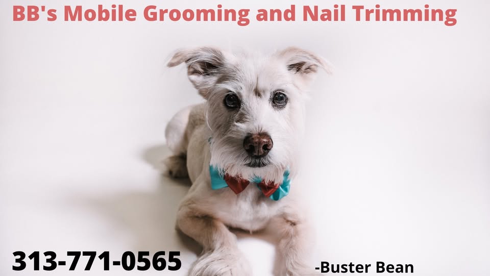 BB's Mobile Grooming
