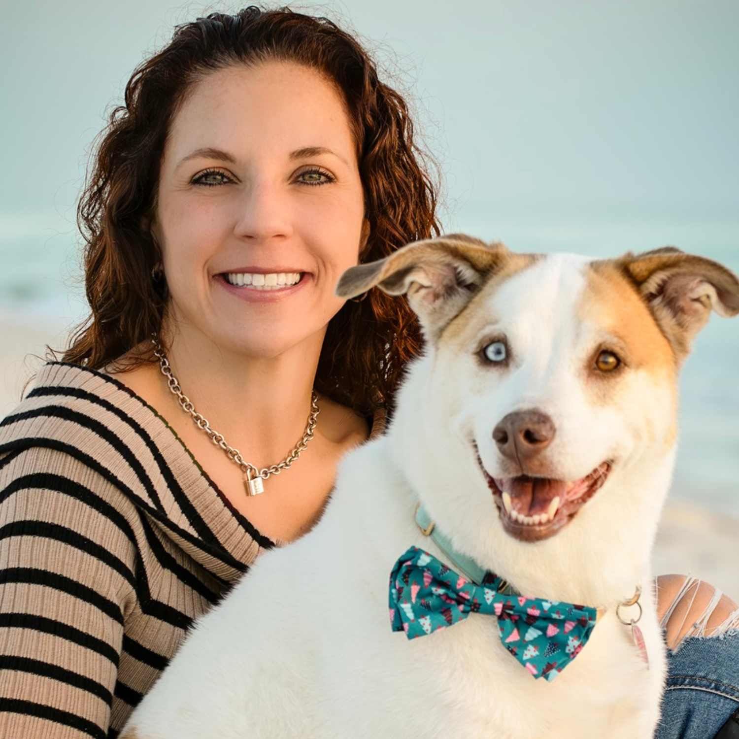 Beach Paws bath service image