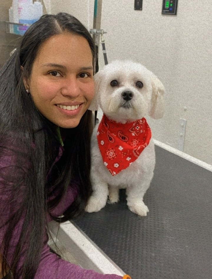 Dog grooming result from Befter Pet Grooming