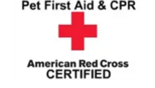 Big Dogz Mobile Grooming promotional image about safety and care