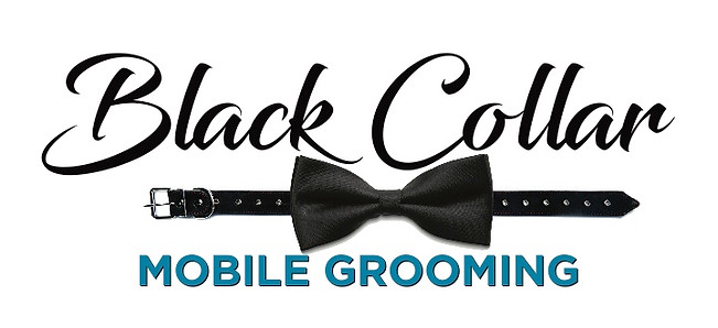 Black Collar Mobile Grooming van