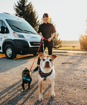 Groomer portrait from Black Collar Mobile Grooming