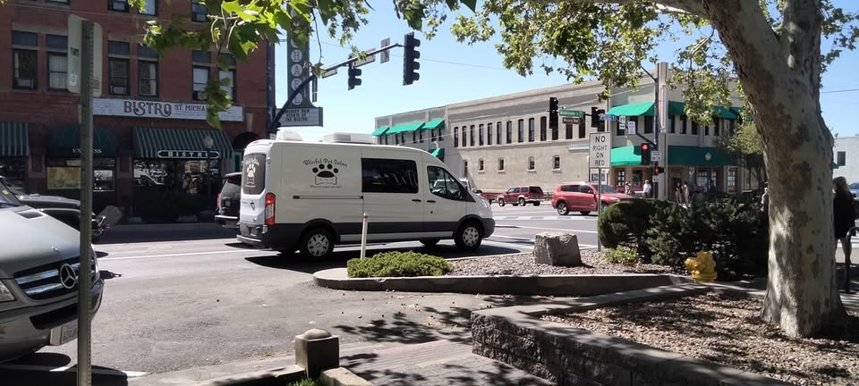 Blissful Mobile Grooming