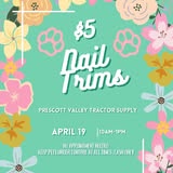 Dog grooming photo from Blissful Mobile Grooming Facebook page