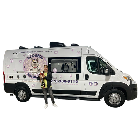 Freshly groomed dog shown on Blooms Grooms Mobile website