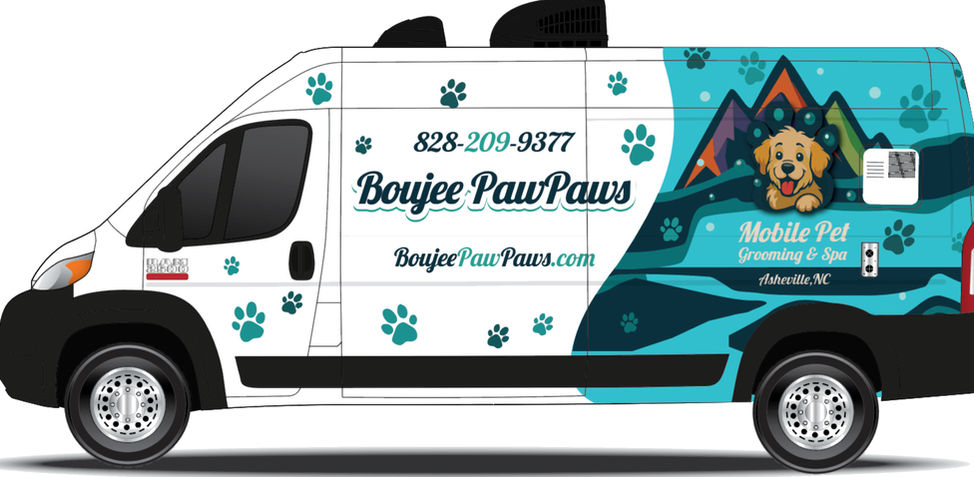 Boujee Express compact grooming van