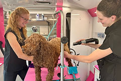 Dog standing by Boujee PawPaws mobile grooming vehicle