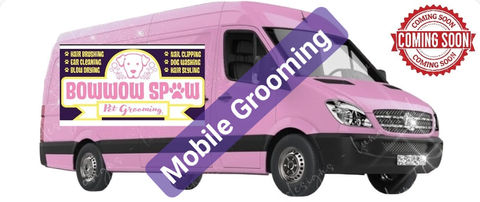 Dog after mobile grooming by Bow Wow Spaw