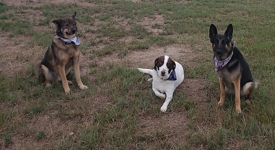 Bubbles and Fluff spaw