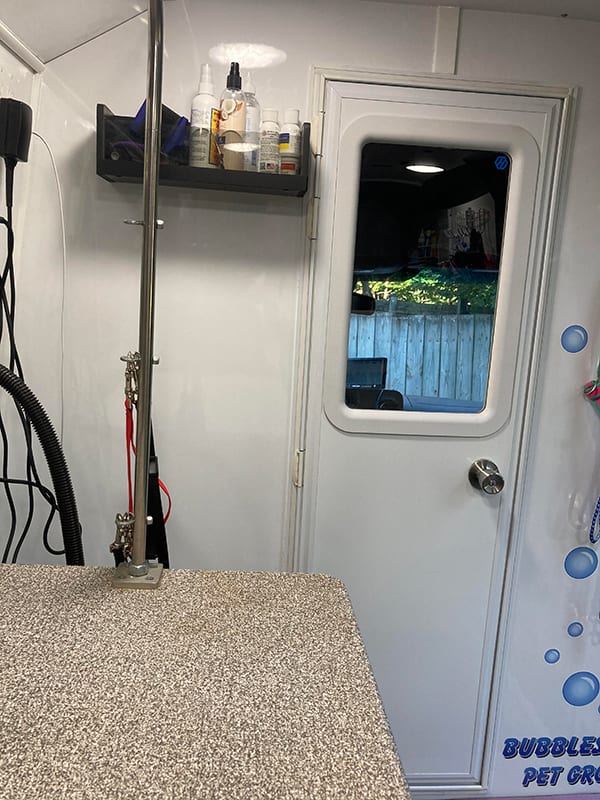 Dog view from inside the mobile grooming van