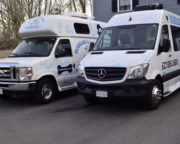 Bubbles 'n' Bones grooming van exterior