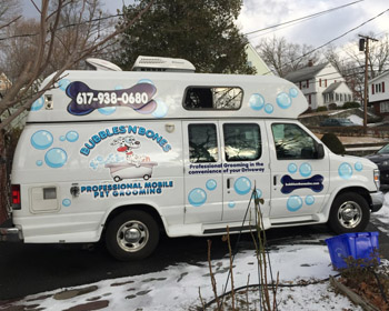 Bubbles 'n' Bones branded van