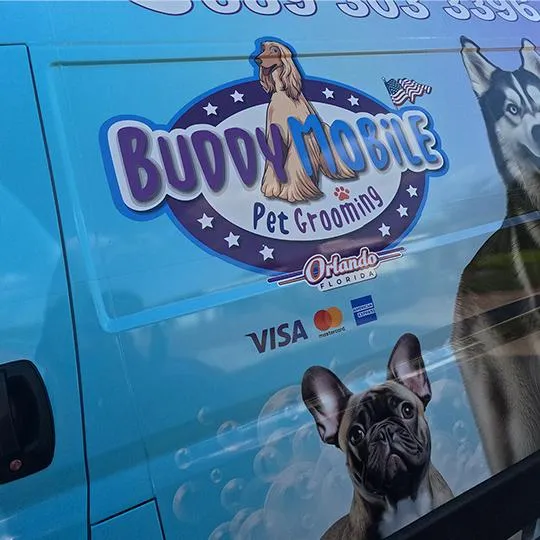 Buddy Pets Grooming team or grooming scene