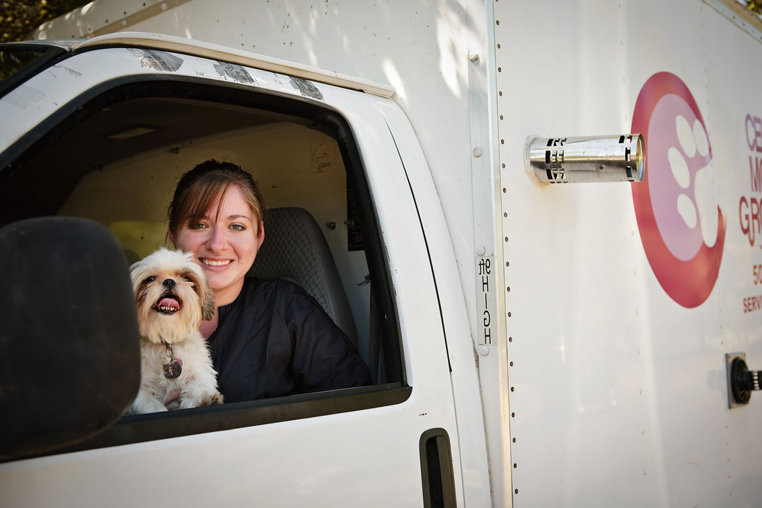 Dog photo from Celia's Mobile Grooming website