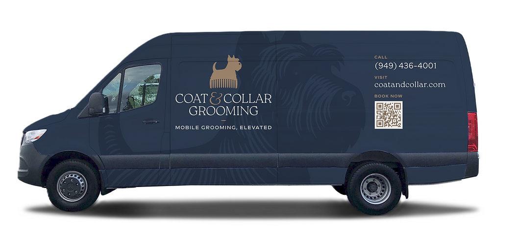 Coat & Collar Grooming