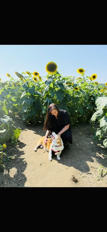 Cooper Cuts Pet Grooming LLC