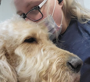 Country Creature Comforts dog grooming photo