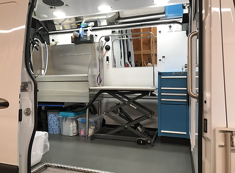 Inside grooming setup at Curbside Pet Spa