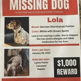 Dog grooming photo shared by Dapper & Diva Krewe Mobile Dog Grooming