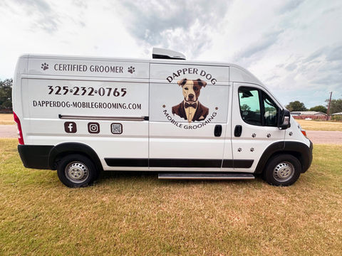 Freshly groomed dog from Dapper Dog Mobile Grooming gallery