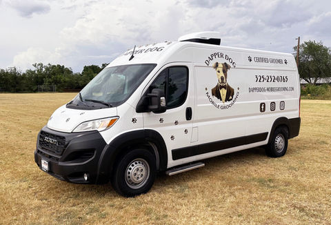 Dog grooming result shown by Dapper Dog Mobile Grooming