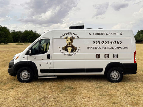 Styled dog after mobile grooming appointment